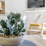 Appartamento Terrace *